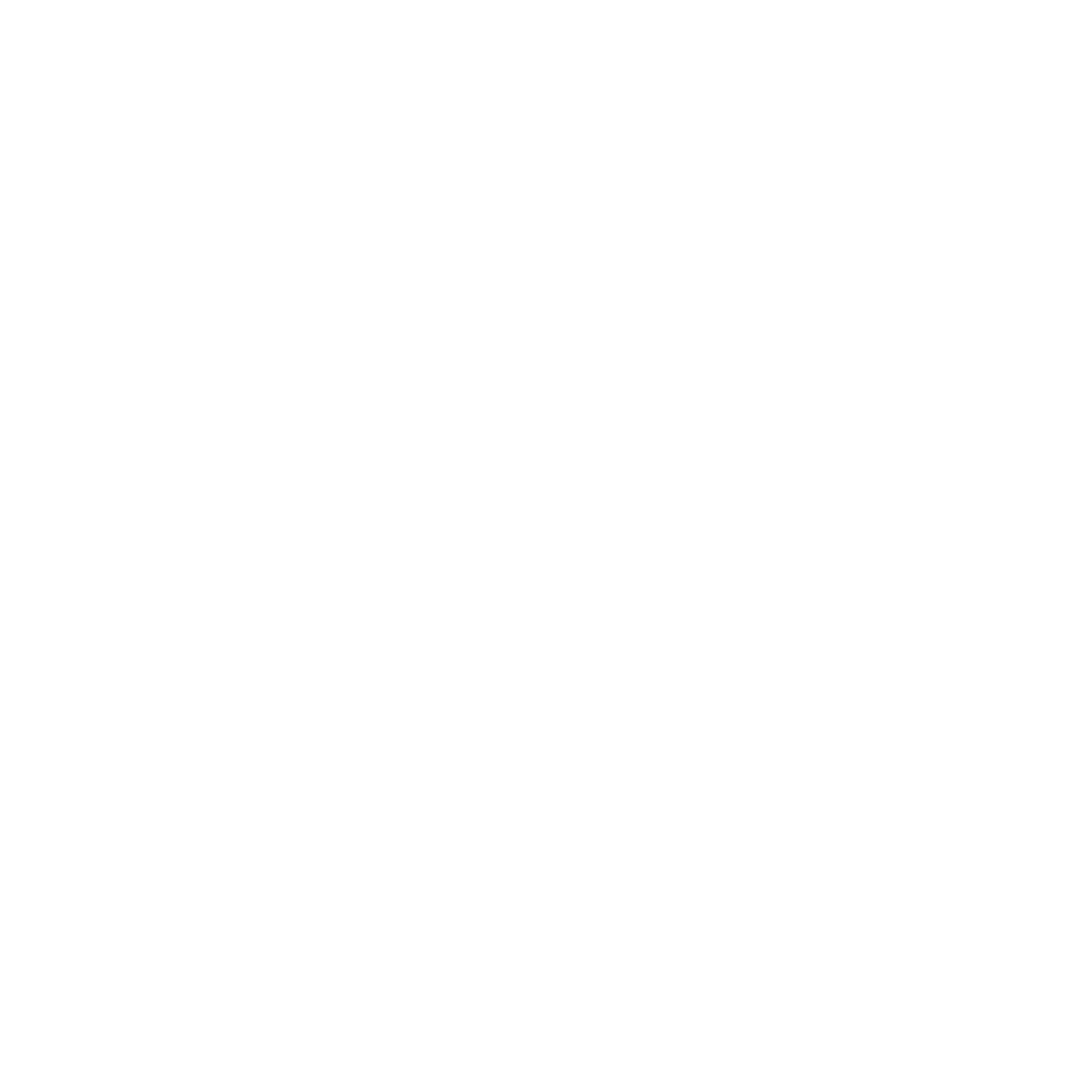 BCTC Logo White.png