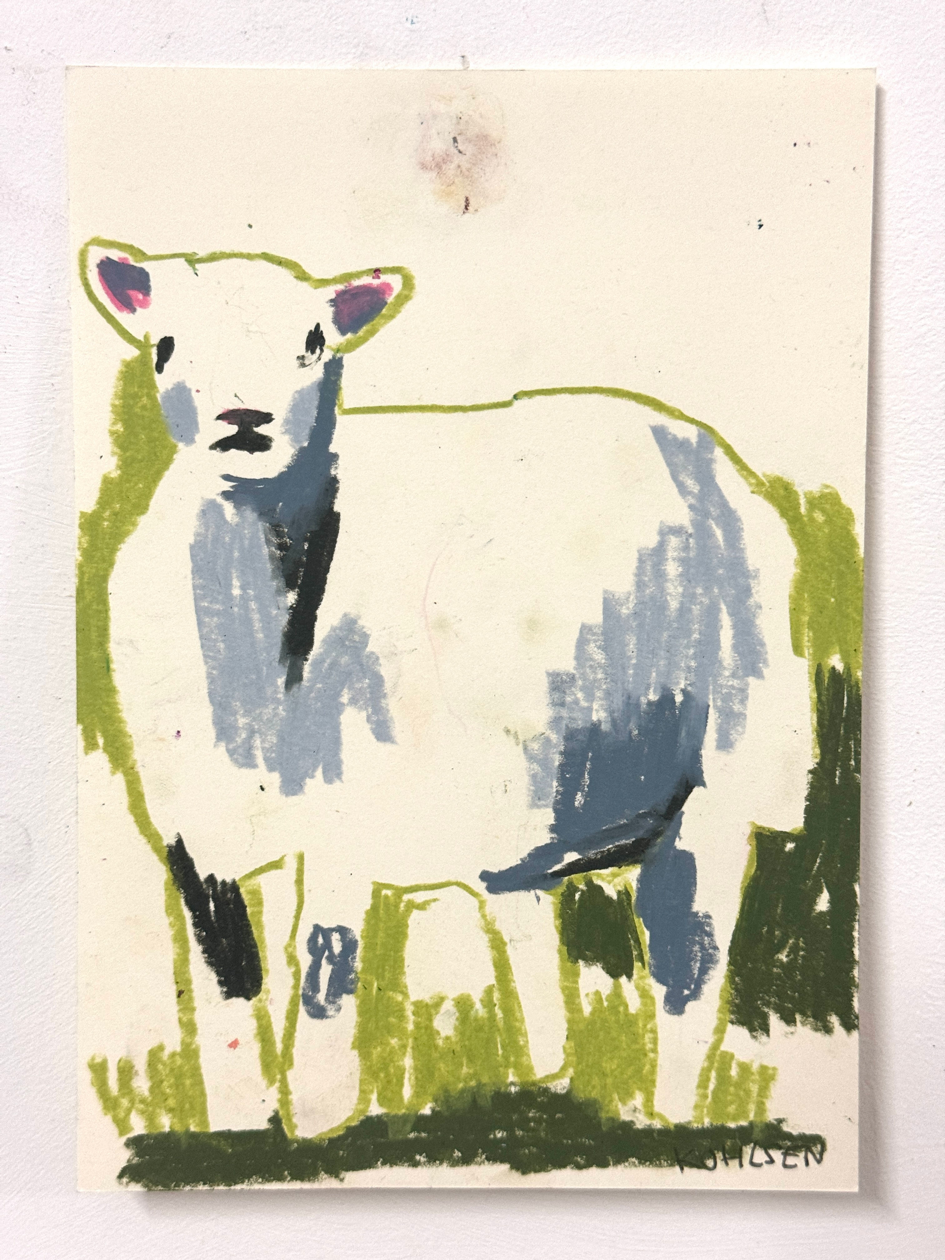 Sheep