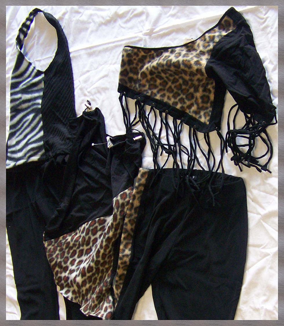 Leopard Zebra Tops.JPG