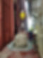 MicrosoftTeams-image (3).png