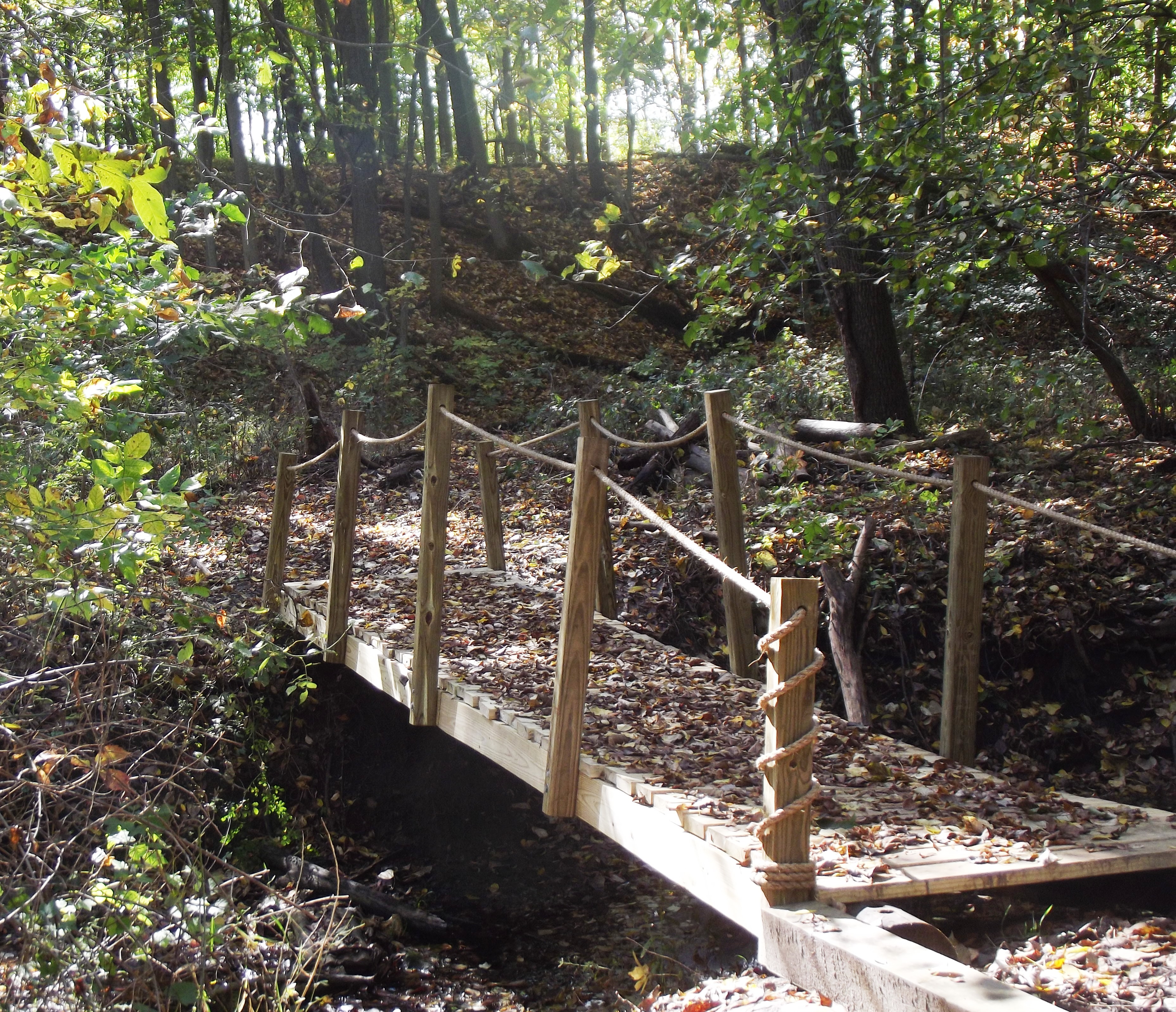 Hiking Trails