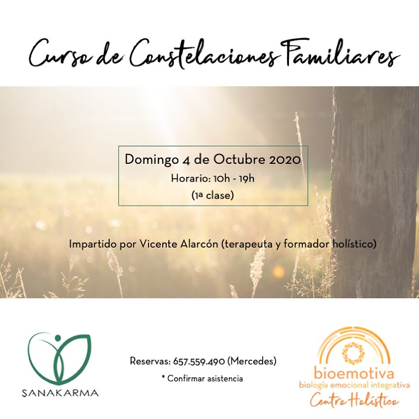 Curso de Constelaciones Familiares (Valencia)