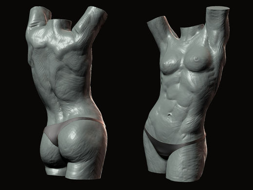 Torso01_F.jpg