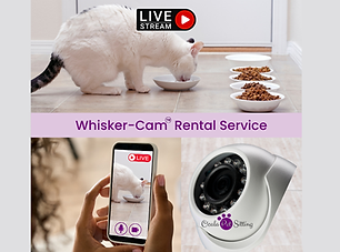 Whisker-Cam Service Cat Sitter Ocala Pet Sitting 400x300.png