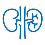 ct-therapeutic-icon-nephrology.png
