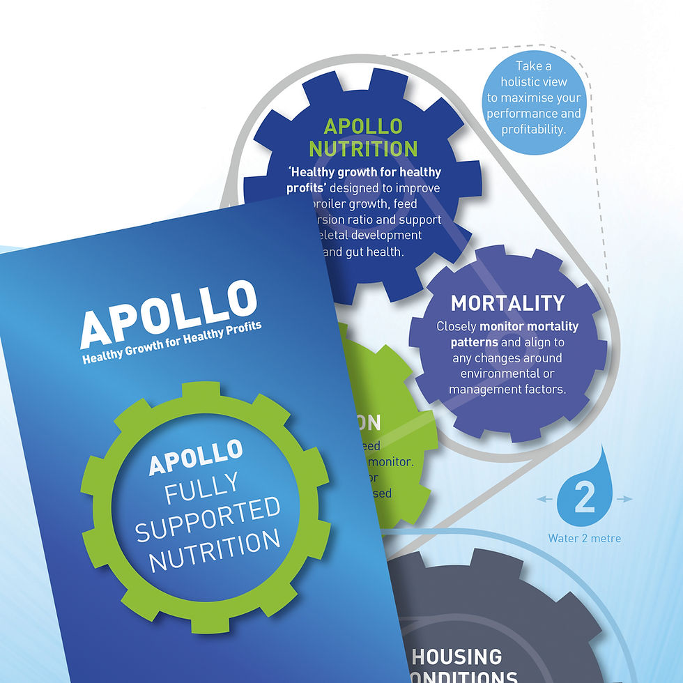 FF_directmail2_1800x1800 copy.jpg