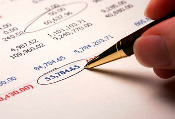 TIMKAS Chartered Accountants LTD. Auditing