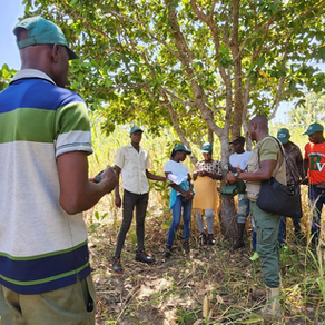 Unveiling the Untold: Conservation Endeavors in Ghana