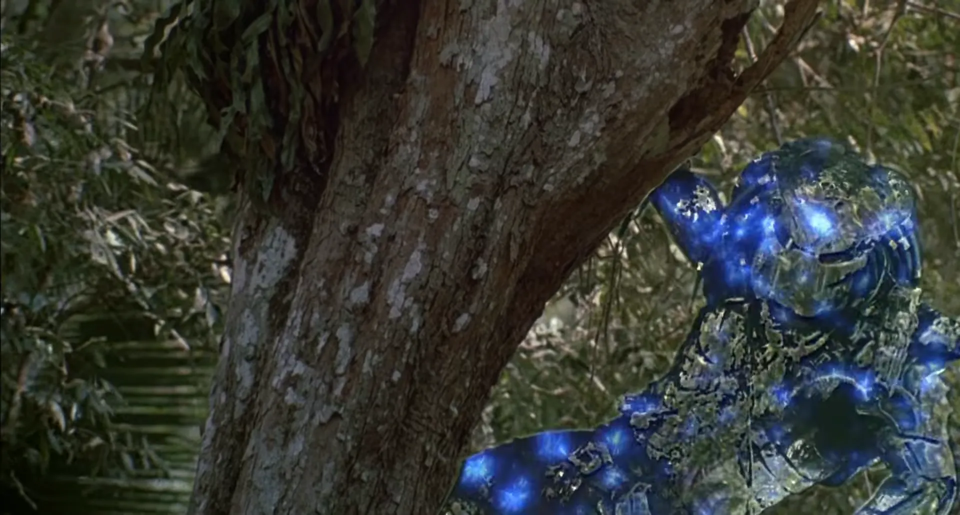 Pradator uncloaking itself in the dense jungle