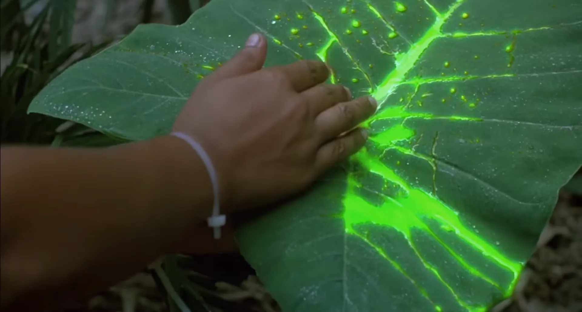 The female hostage/rescue touching glowing green Predator Blood