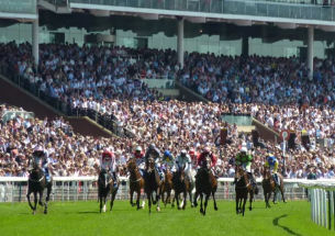 Racebook Betting on BetWhale – Live Odds & Major Races