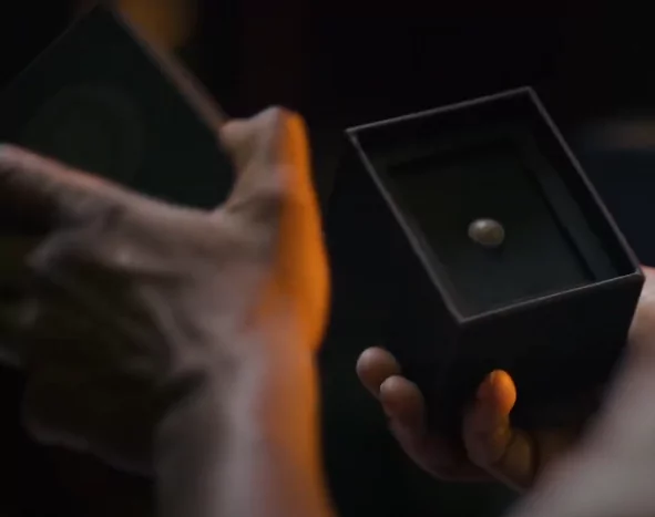 The knub in Black Mirror