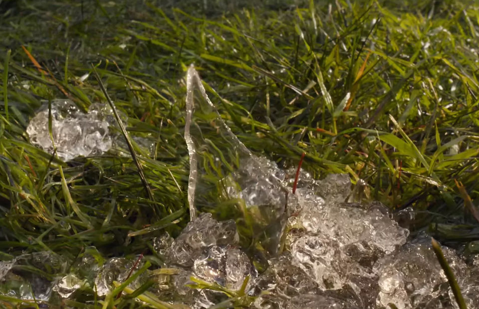 Killer glass shard on the grass