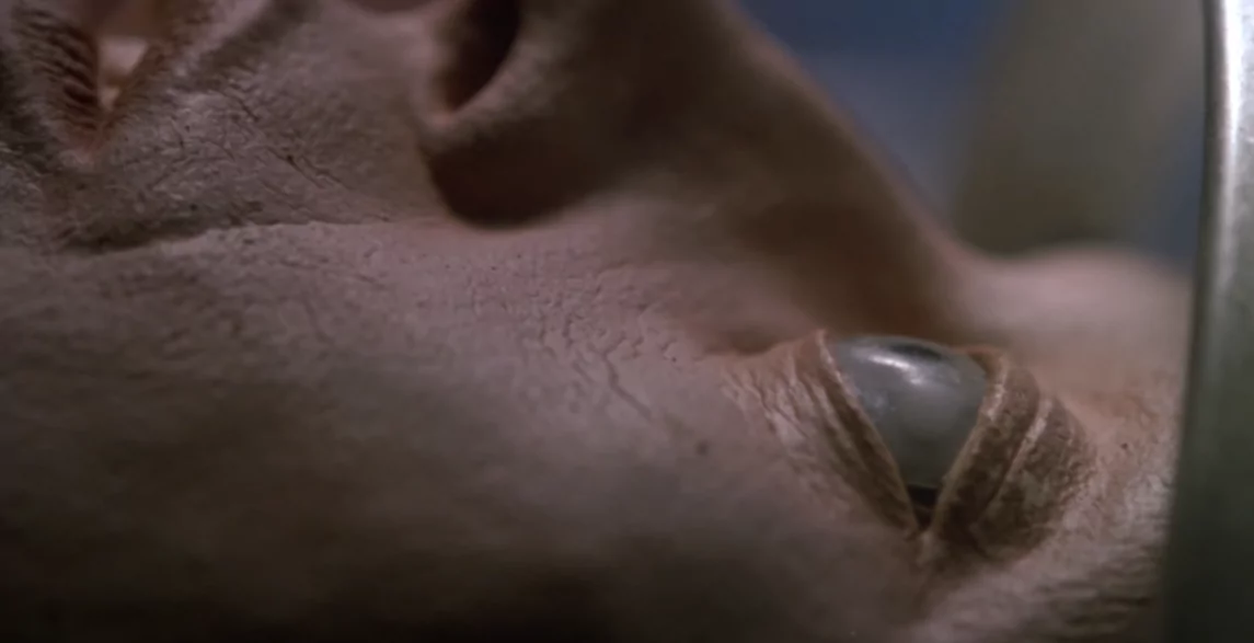 Pearl Prophet, played by Dayle Haddon in Cyborg 1986 movie