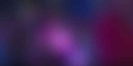 Taylor Swift Fans at a concert