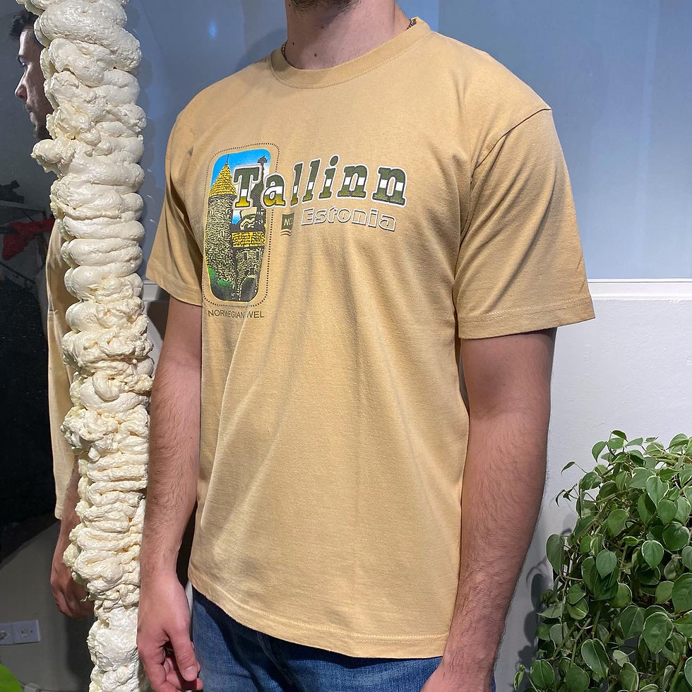 Miniatura: Camiseta Tallinn Estonia