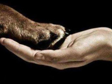 Unconditional, an adjective.
