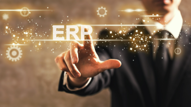 ERP'nin Faydaları