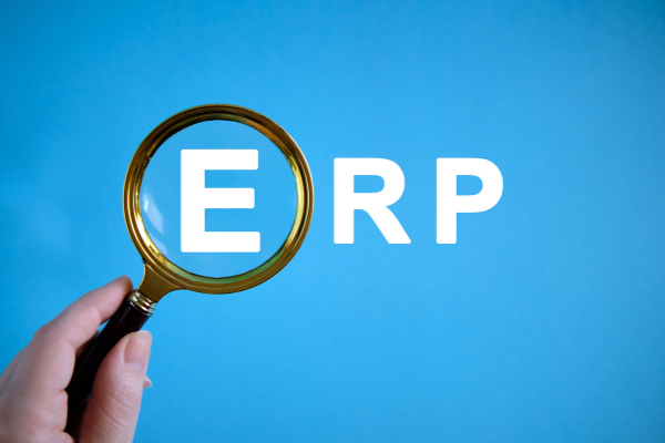 2023 ERP Trendleri