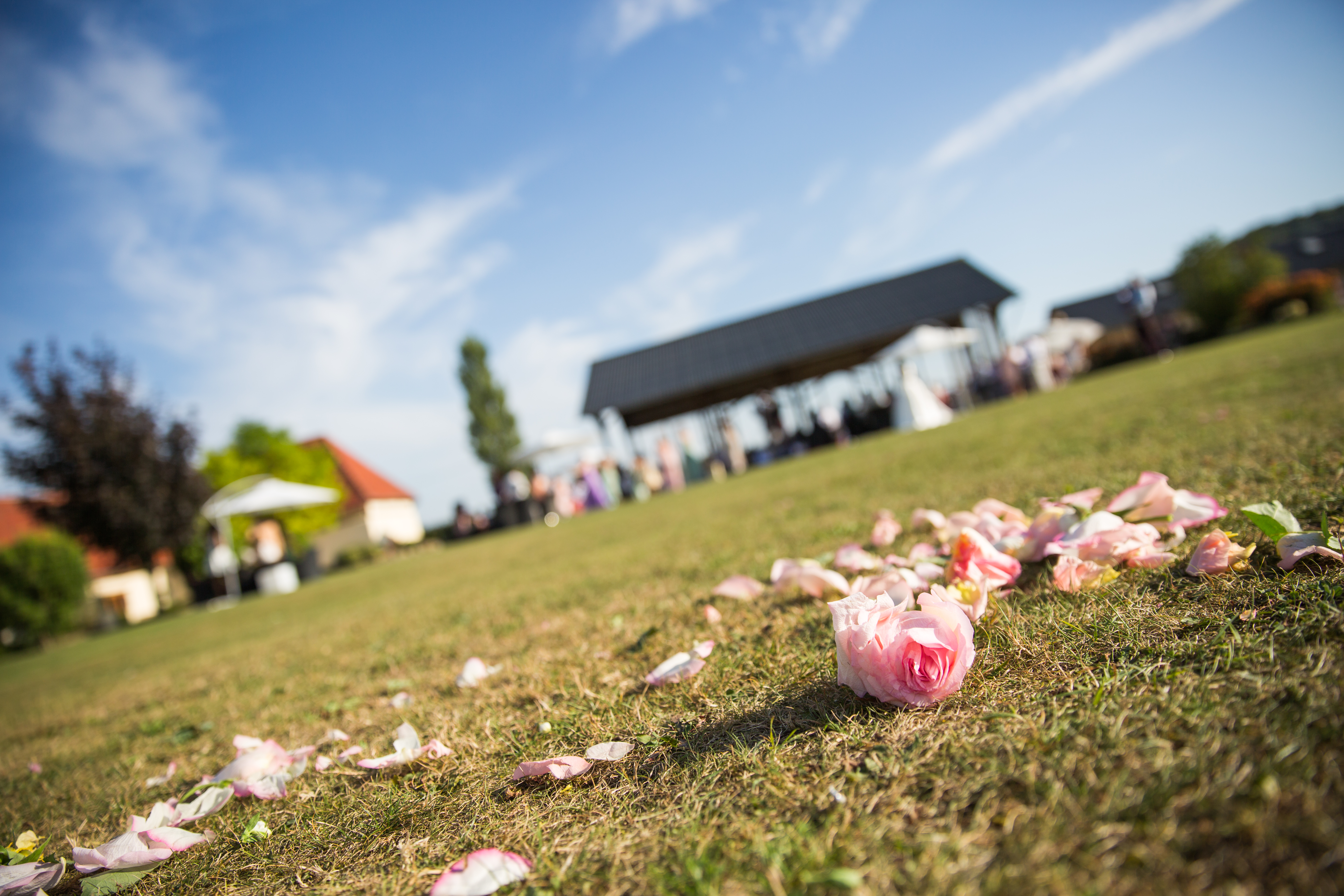 Photographe mariage Caen