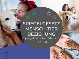 Das Spiegelgesetz: Wie spiegelt sich der Besitzer im Tier wider?