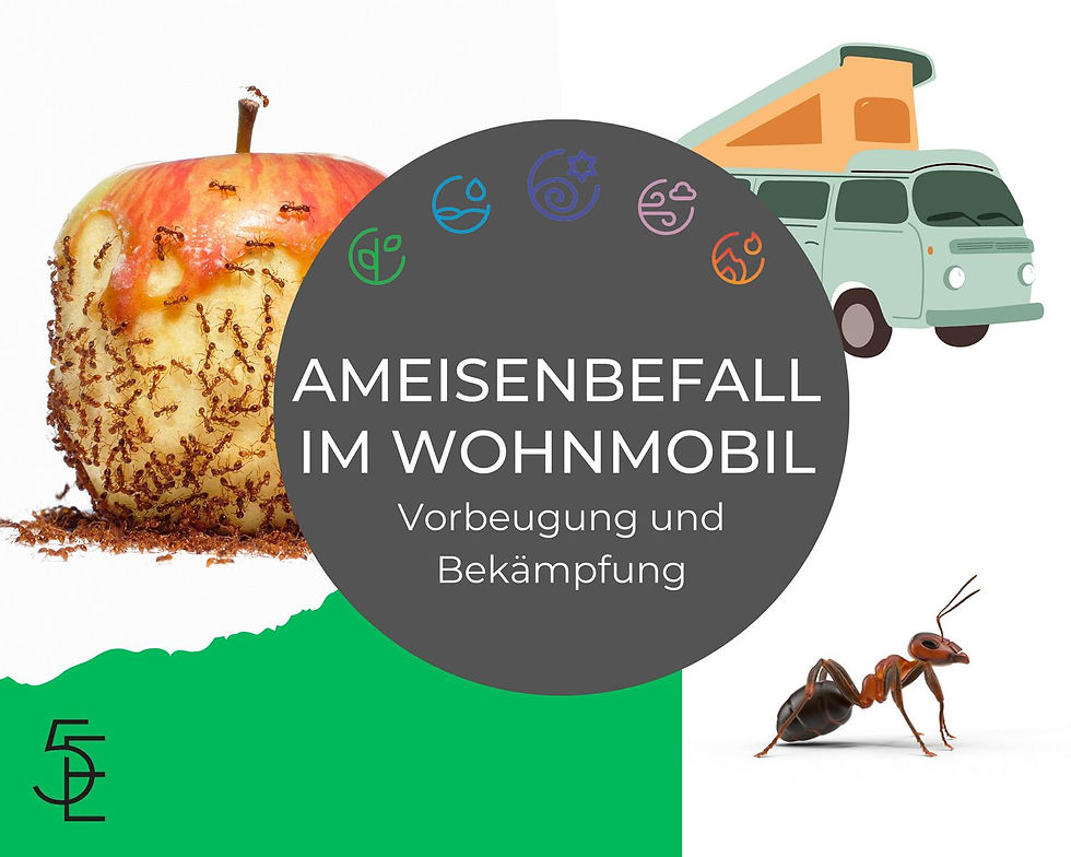 Ameisen im Wohnmobil: Gefahren, Prävention und effektive Bekämpfungsmethoden