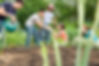 Menschen, die als Gemeinschaft einen Garten anlegen