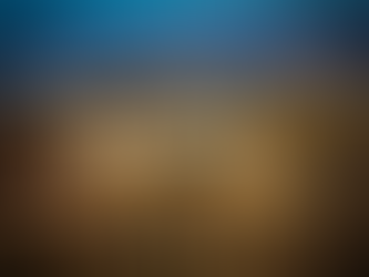 Hollywood on the Danube: Budapest as Peripheral Media Capital