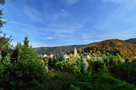 Hö68-min.JPG