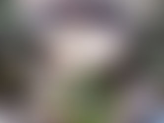 復發指數™小於25分的病人，可評估不作化療