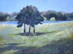 THE KELLY THE LAND 1  16 029