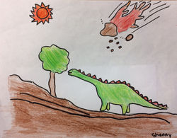 Shenny Johnston WMS 5