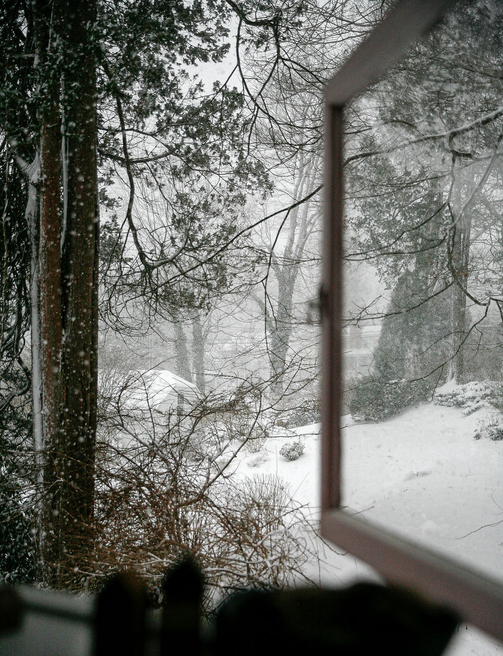 © Danielle Vogel, with/in herbals