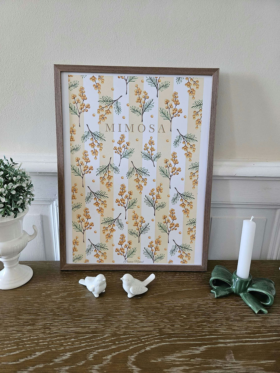 Miniature : Affiche Mimosa