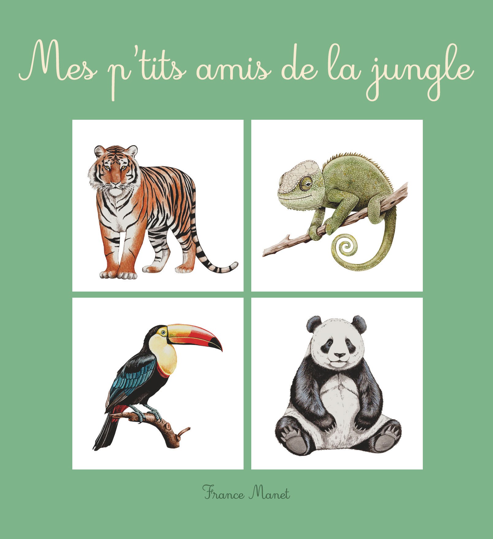 Mes p'tits amis de la jungle