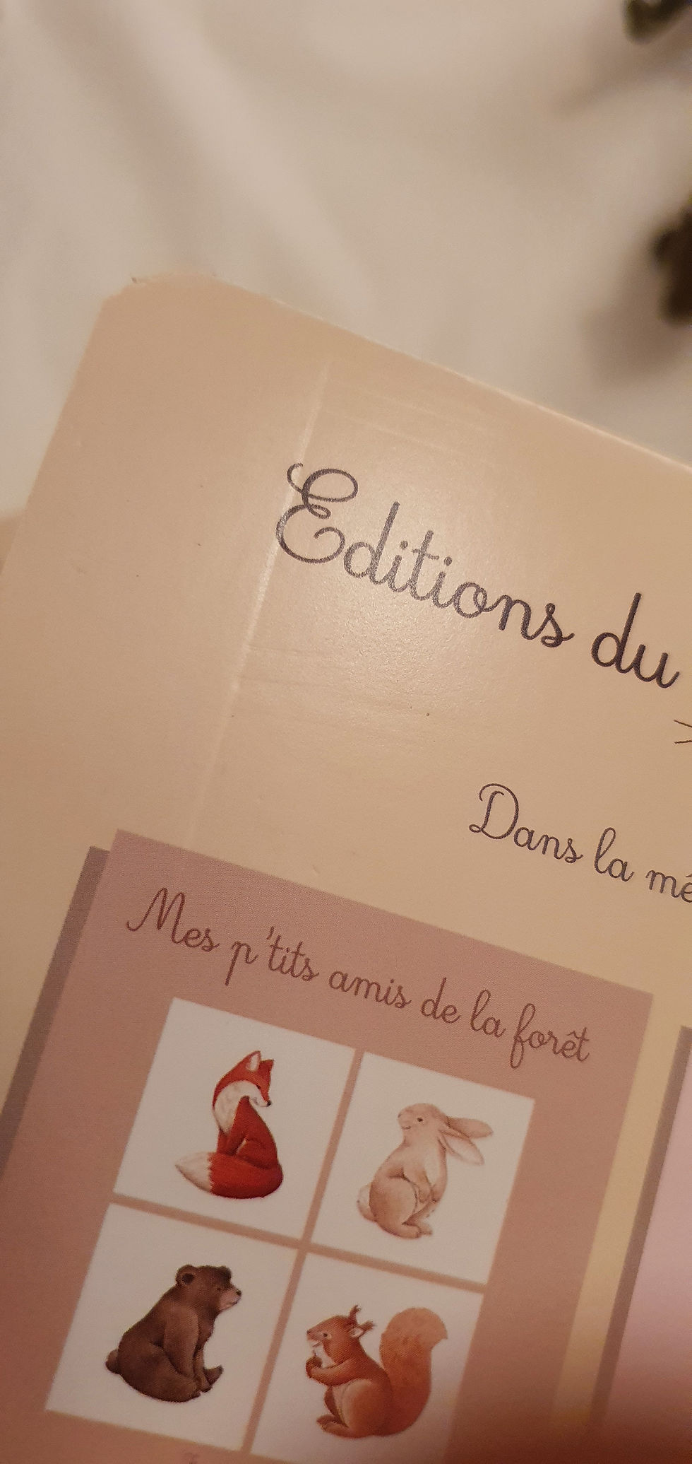 Miniature : Mes p'tits amis de la forêt DÉGRIFFÉ 
