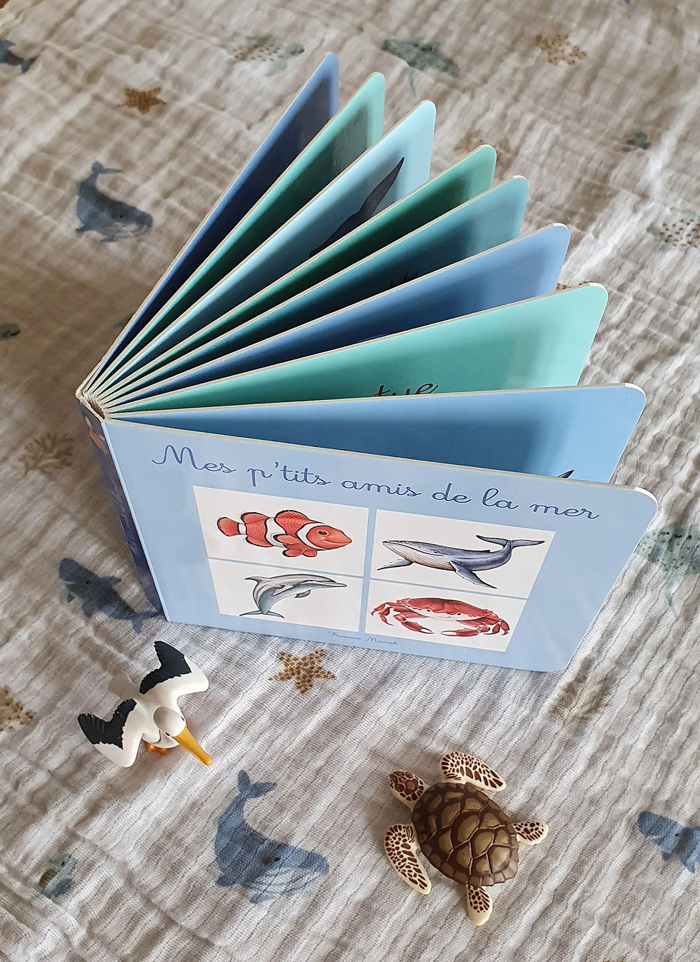 Miniature : Mes p'tits amis de la mer