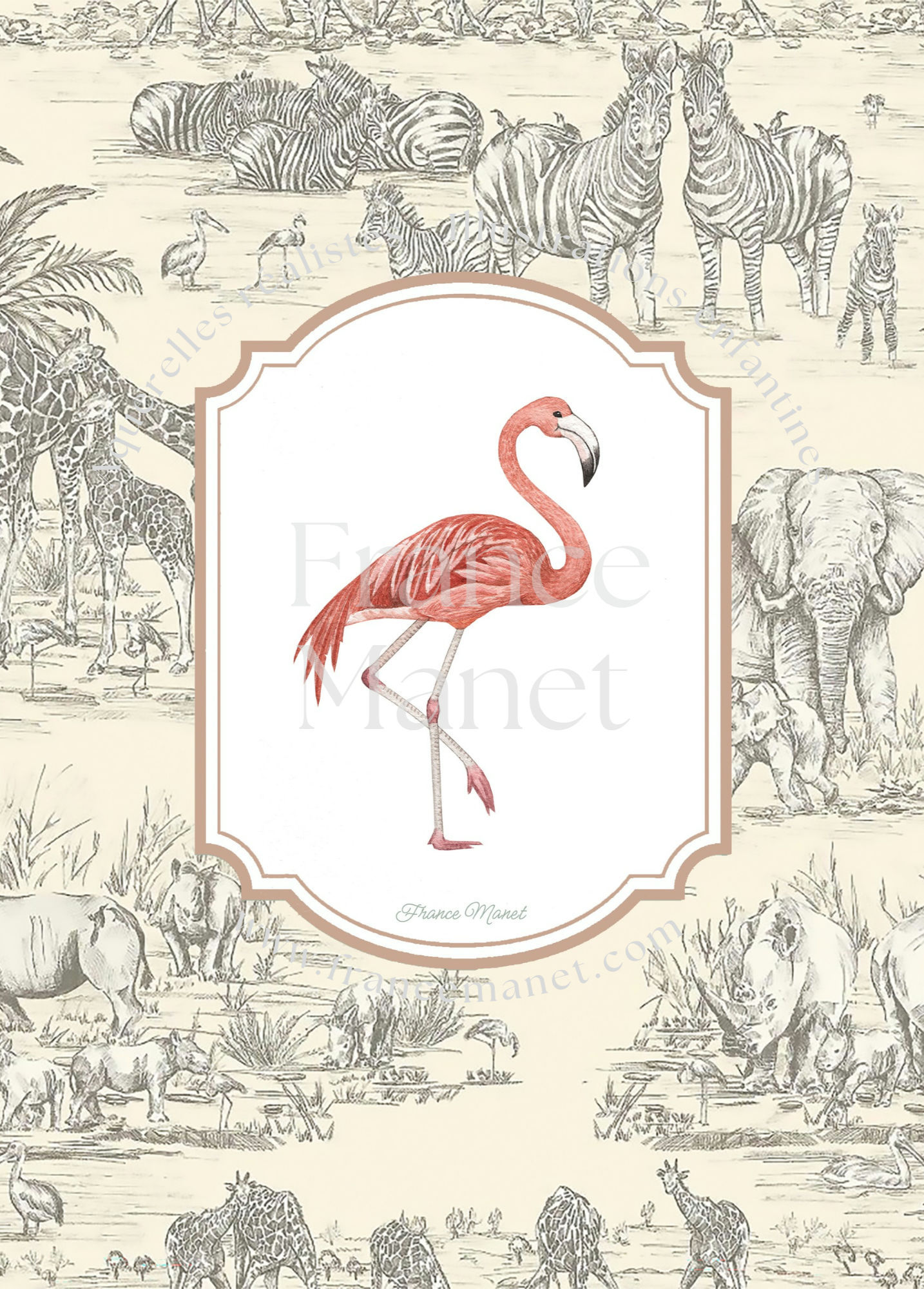 Flamant-rose