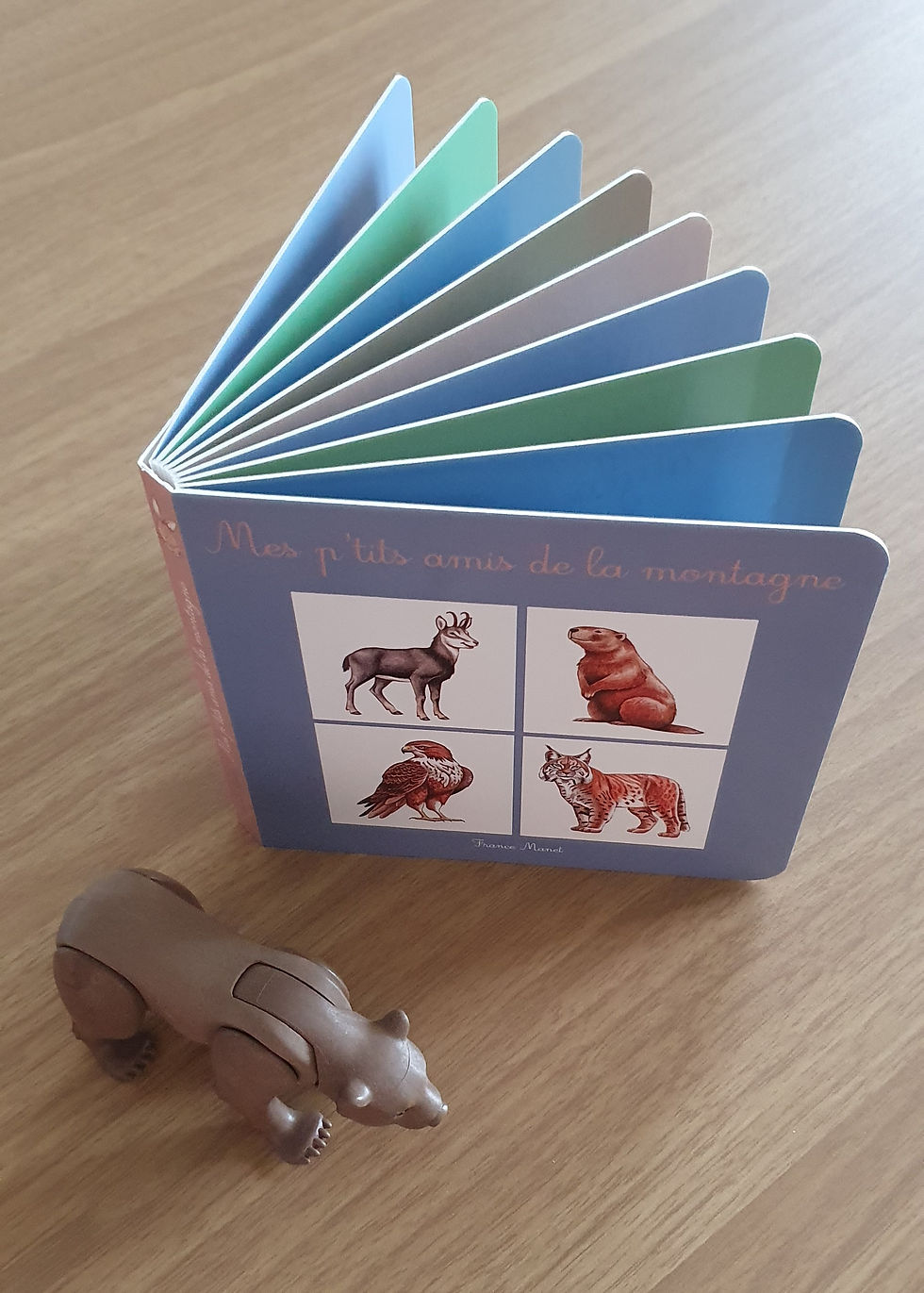 Miniature : Mes p'tits amis de la montagne
