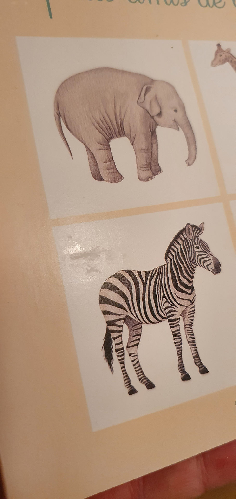 Miniature : Mes p'tits amis de la savane DÉGRIFFÉ 