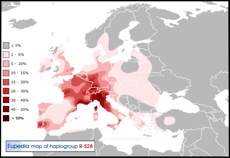 Haplogroup-R1b-S28.gif