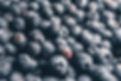 Blueberries