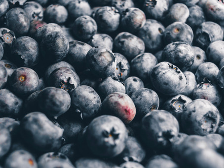 Beneficios del Arándano ( vaccinium corymbosum )
