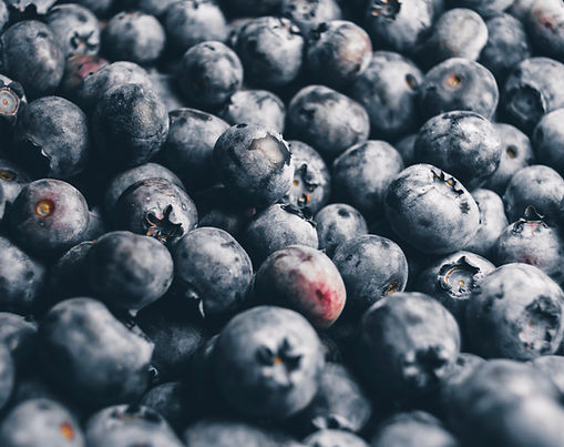 BLUEBERRIES
