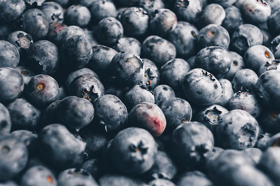 Close-Up Blueberries