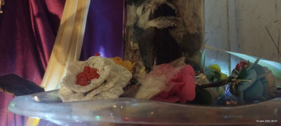 ALTAR A LA CREATIVIDAD - 1er Edición