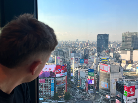 Man looking at aerial view of Tokyo city.