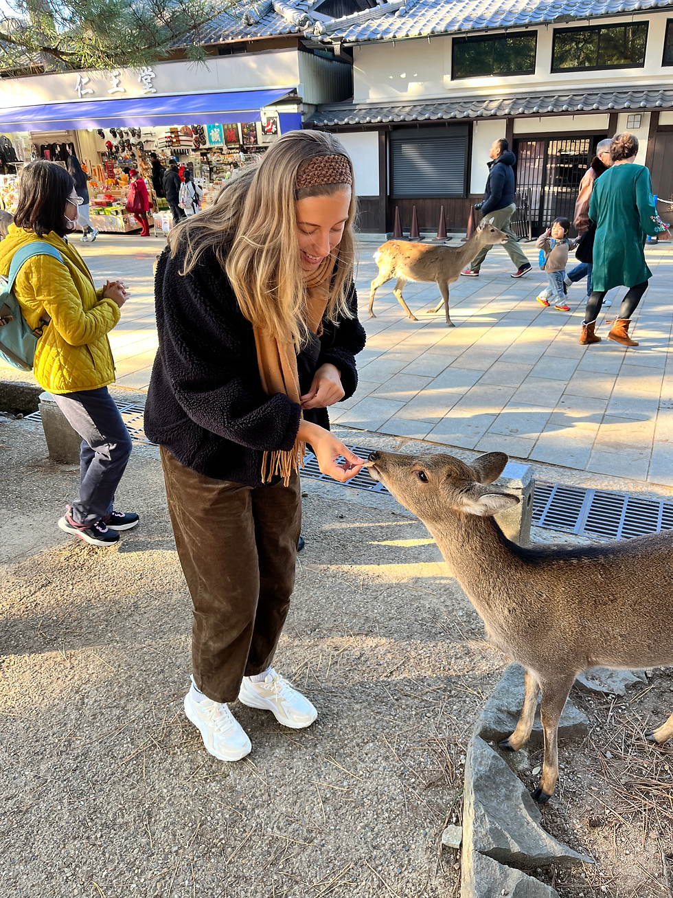 Author of the blog feeding deer in Nara.
