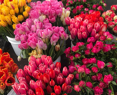 ZK Flowers.jpg