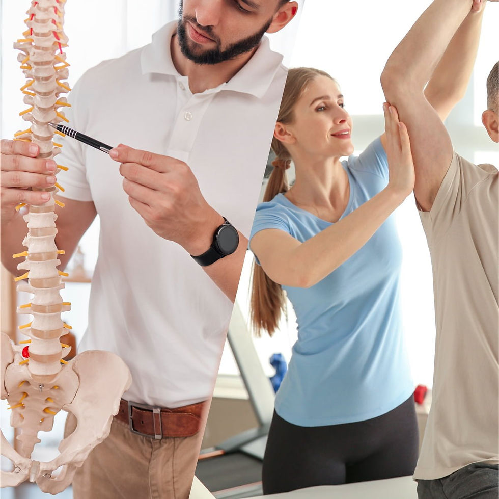 How Chiropractic and Physiotherapy Work Together for Faster Recovery | Integrated Healing at a Georgetown Chiropractic Clinic